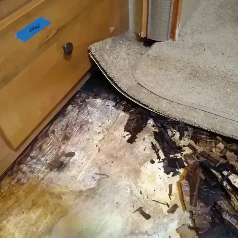 Best Wood Floor Water Damage Service in Crystal River, FL